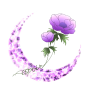 d_0228.png