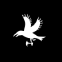 20241029-003224.png