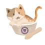 20241105-013304.png